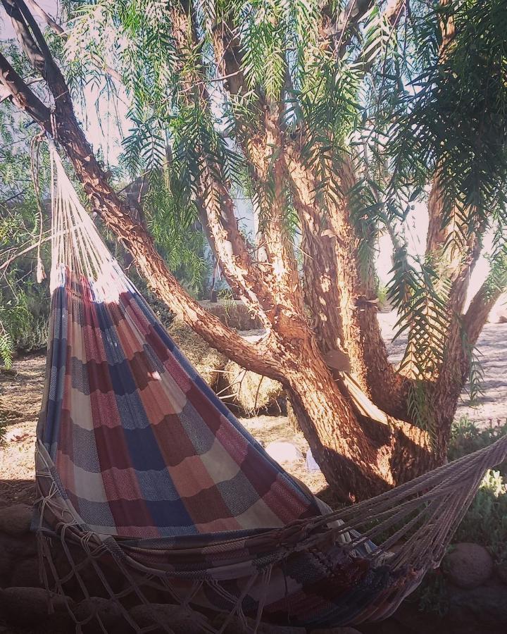 Cabanas Voyage Atacama Сан Педро де Атакама Екстериор снимка