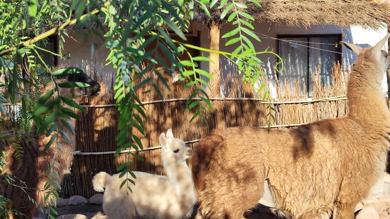Cabanas Voyage Atacama Сан Педро де Атакама Екстериор снимка