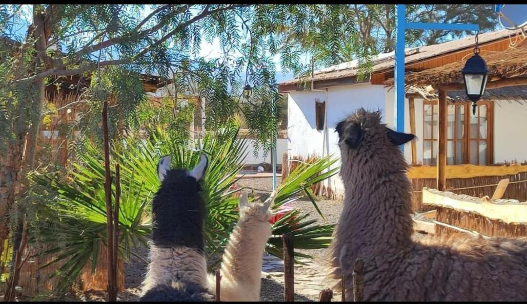 Cabanas Voyage Atacama Сан Педро де Атакама Екстериор снимка