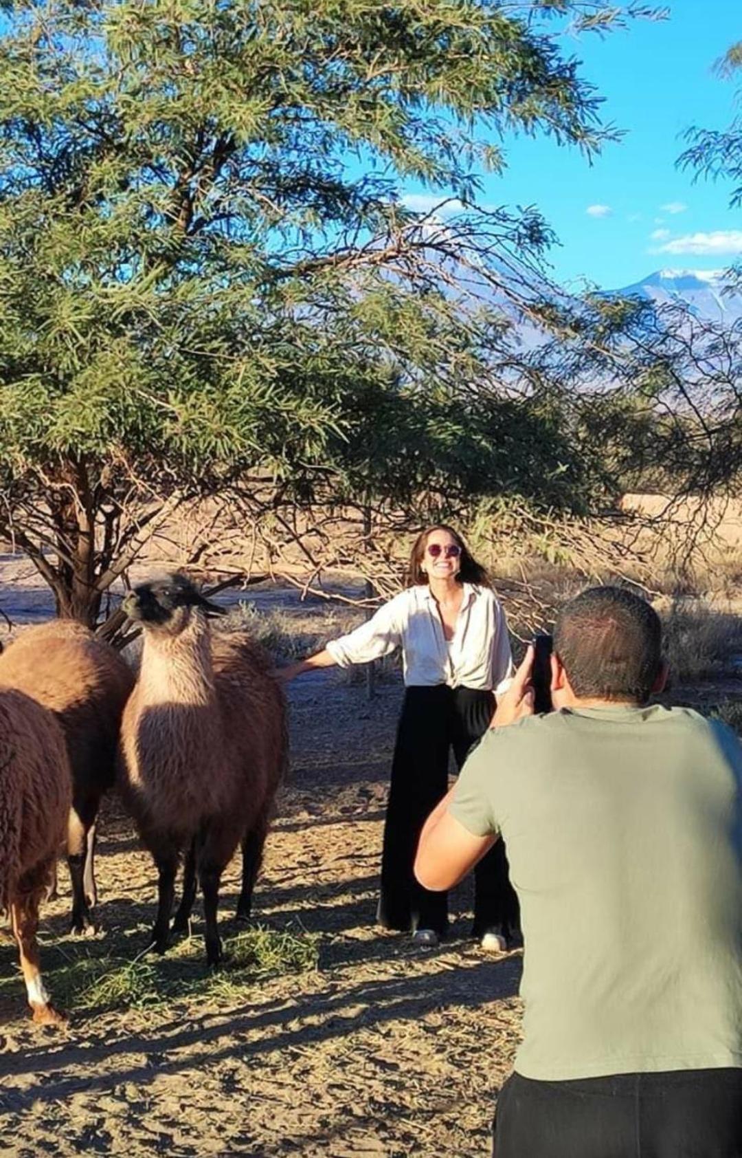 Cabanas Voyage Atacama Сан Педро де Атакама Екстериор снимка