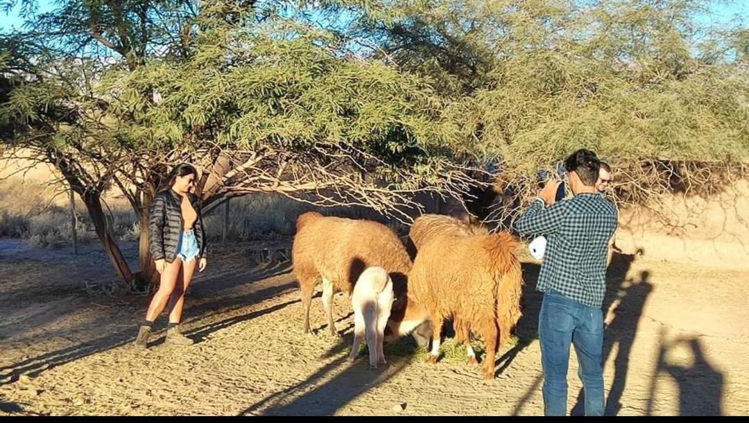 Cabanas Voyage Atacama Сан Педро де Атакама Екстериор снимка