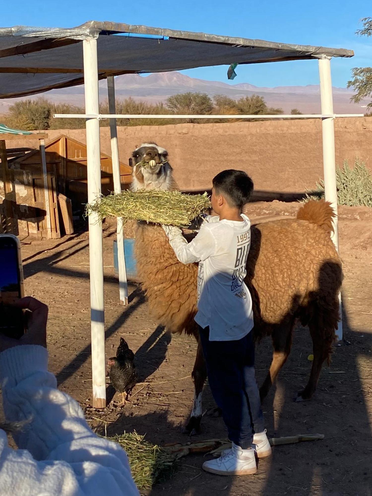 Cabanas Voyage Atacama Сан Педро де Атакама Екстериор снимка